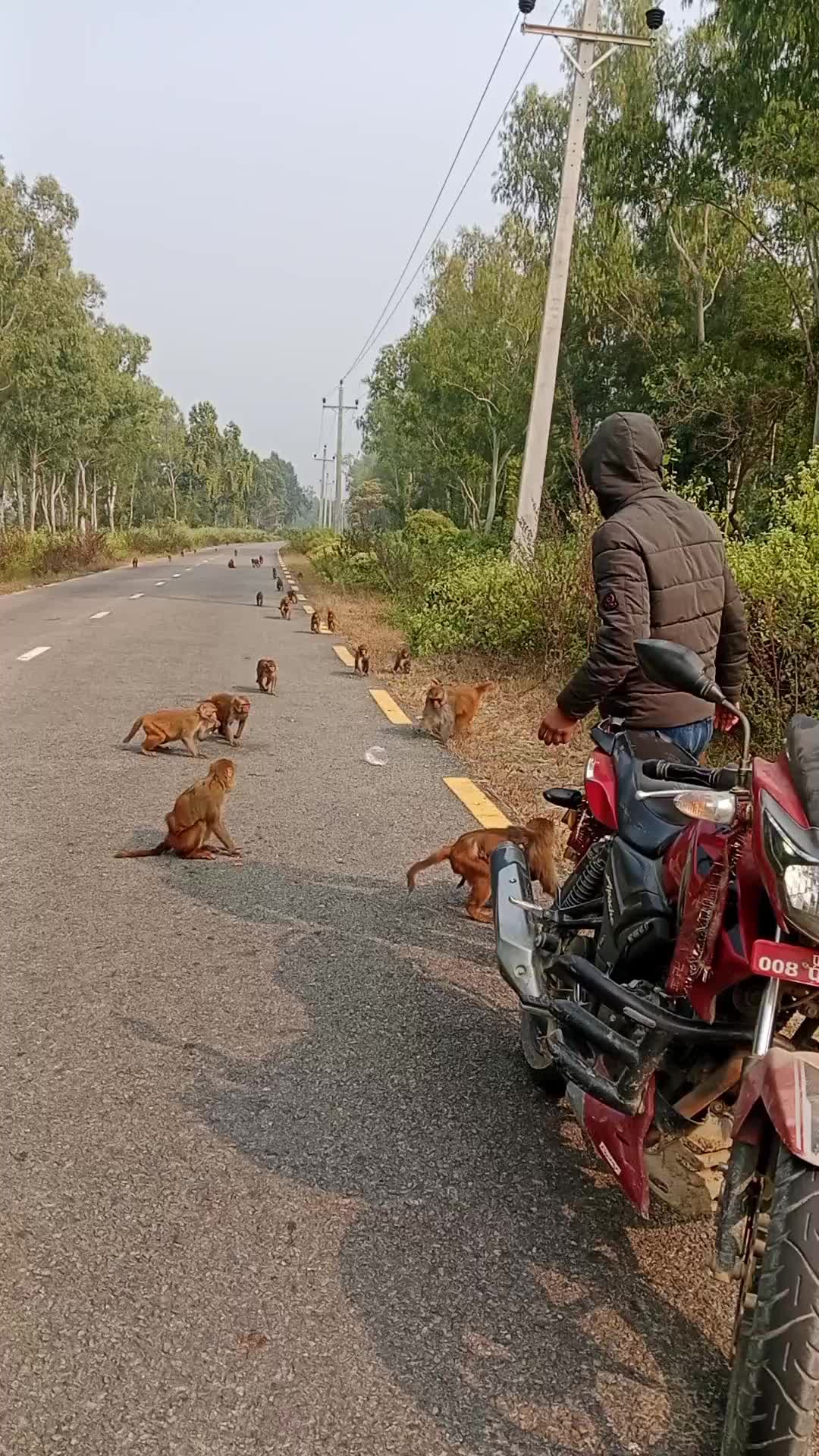 @Pankaj yadav