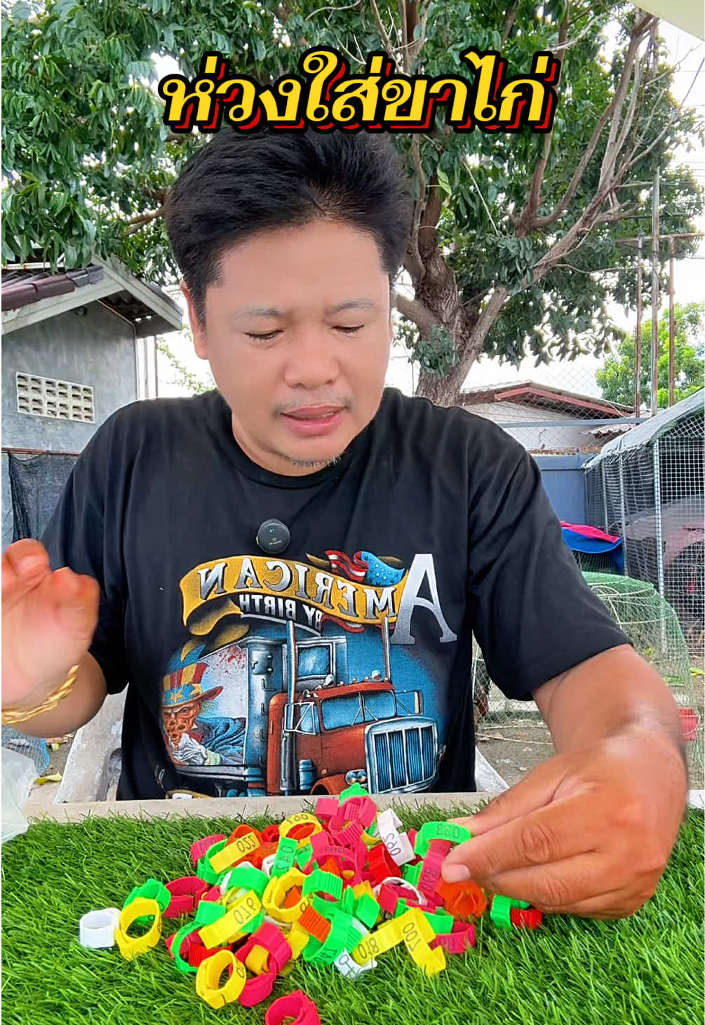 @วุดดี้ รีวิว56