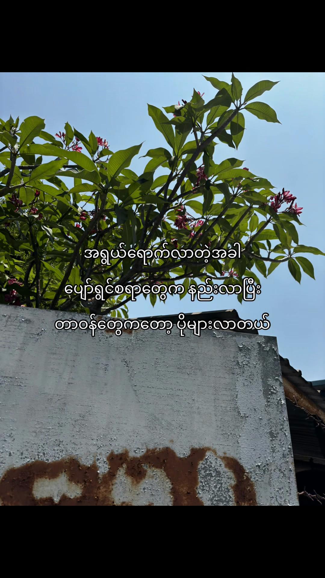 @_𝐌ᴀʀɪᴏ