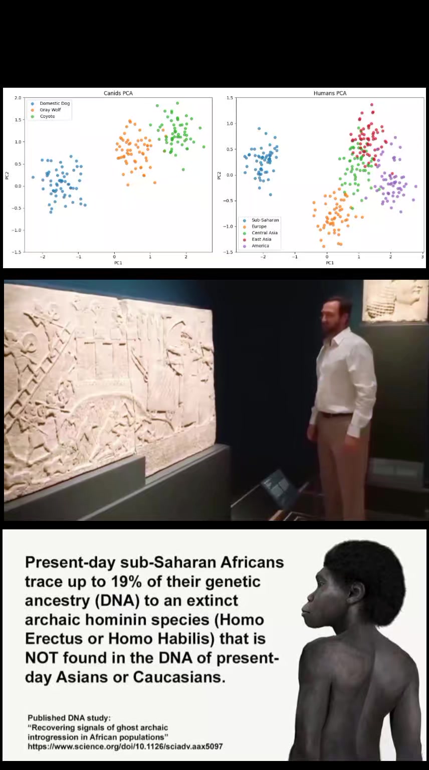 @RaceRealism