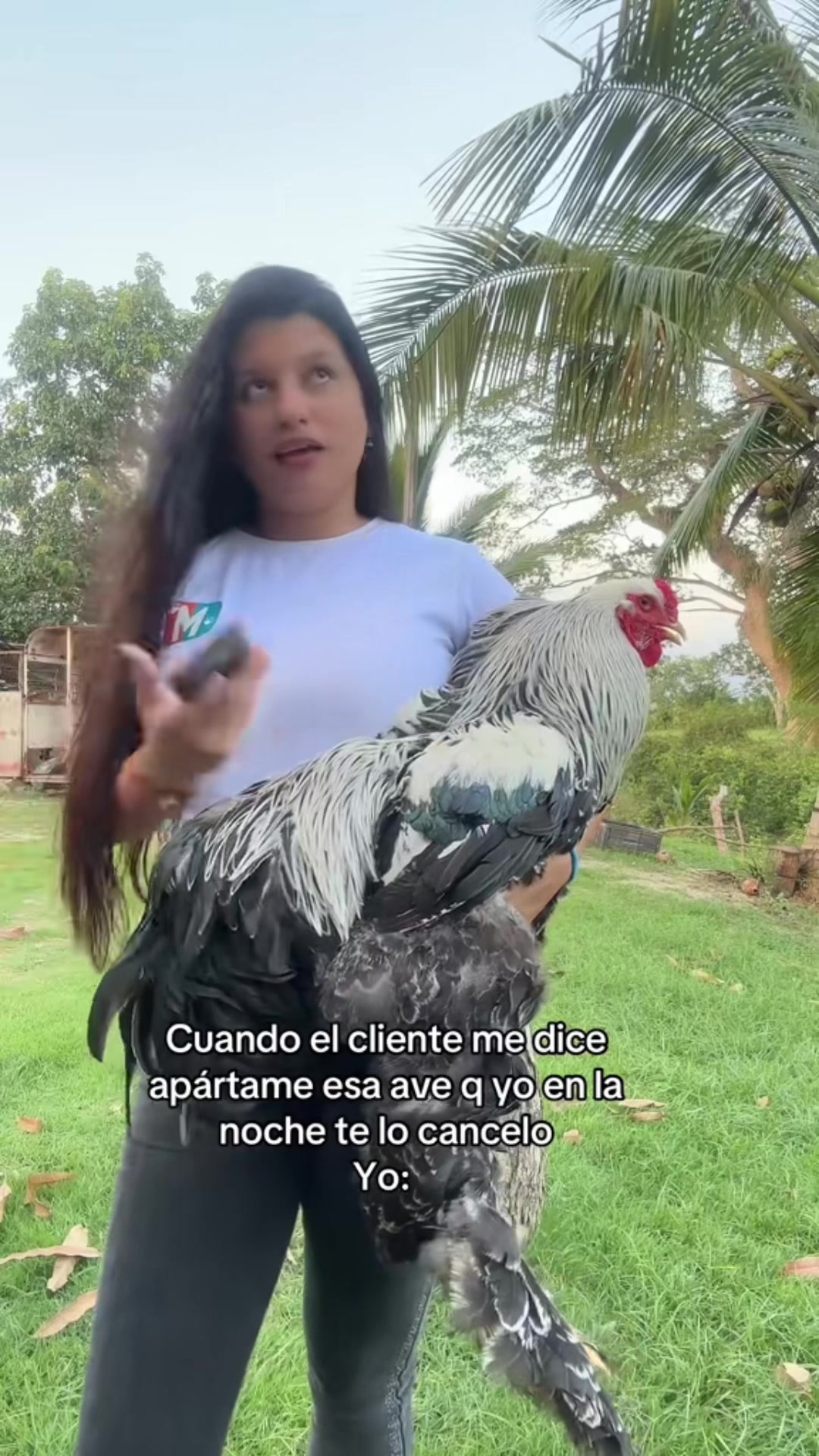 @Granjamascotalandiayaracuy