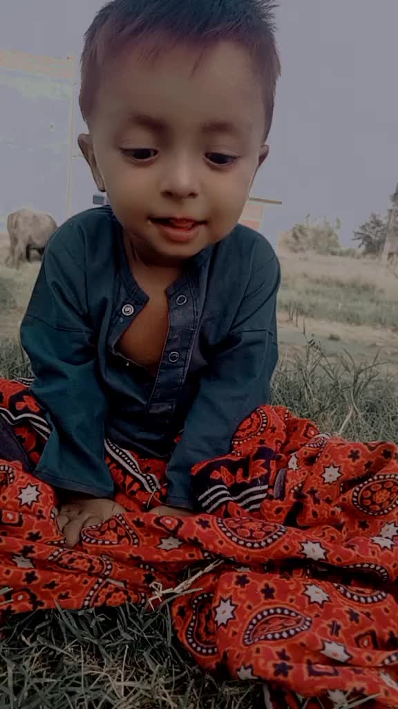 @Malik Sajid