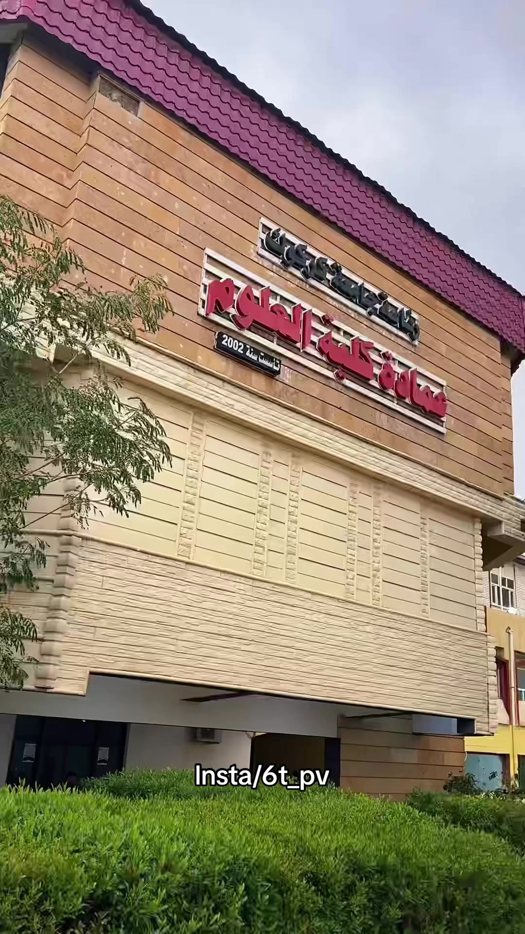 @عمير الصخر 🐼