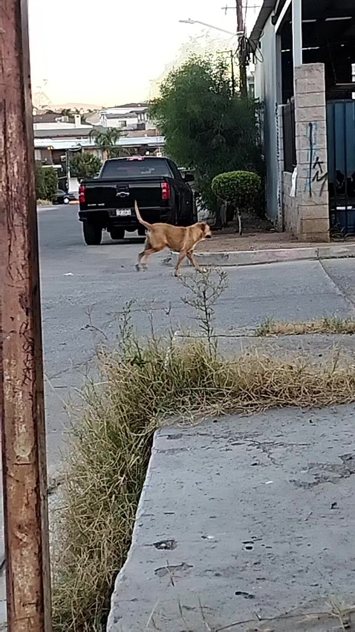 @#NoSoyRunner