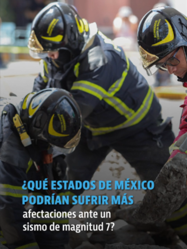 @elheraldodemexico