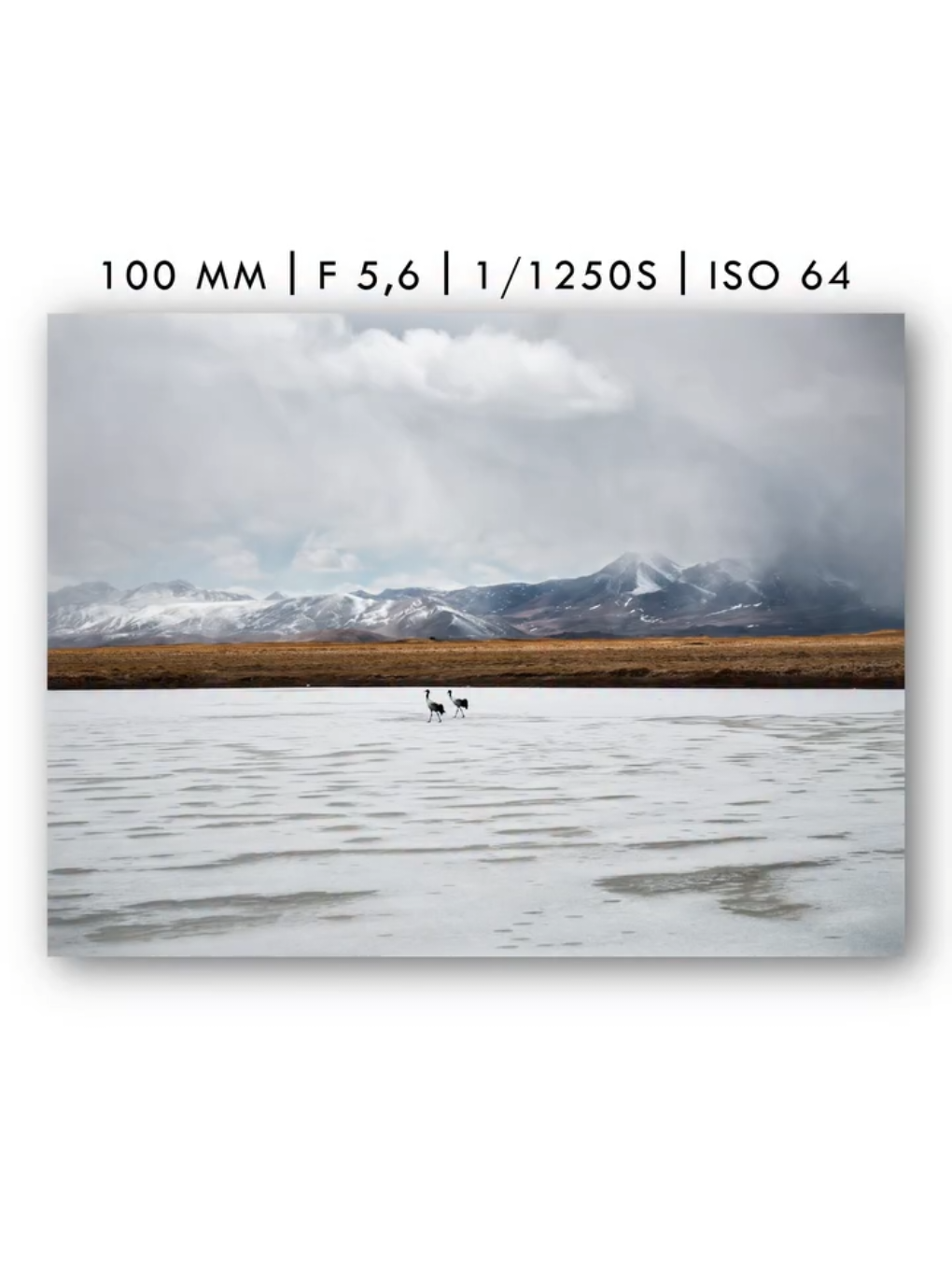 @Hasselblad