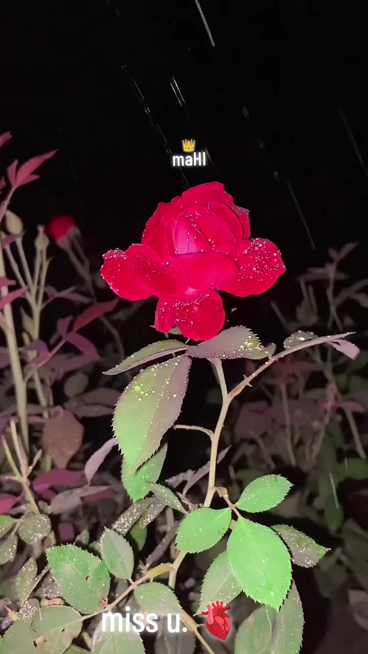 @Zubairmughal786