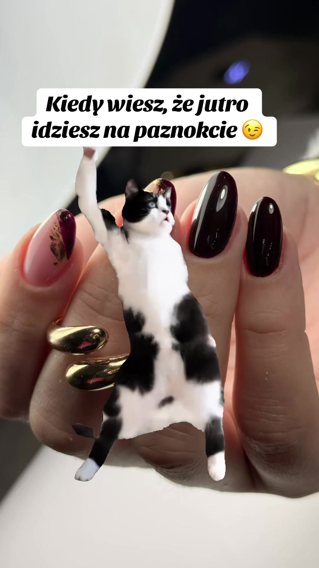 @glovv.and.flovv
