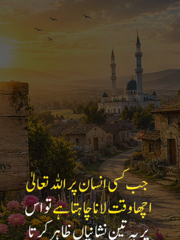 @alquranvoiceofislam