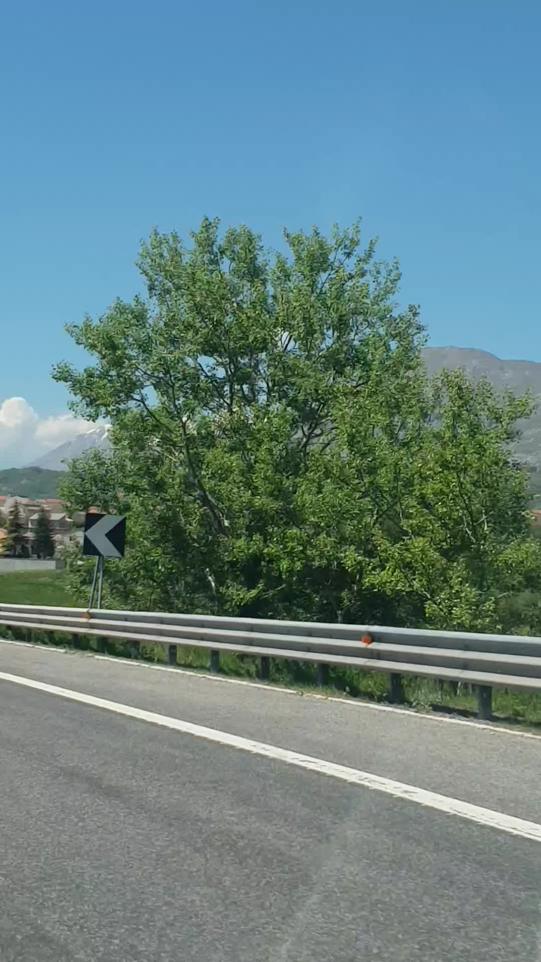 @lupo solitario