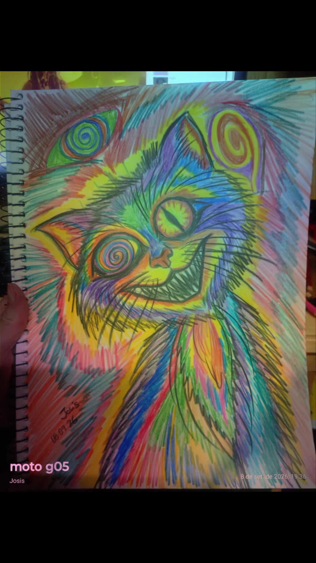 @Gato Xadrez