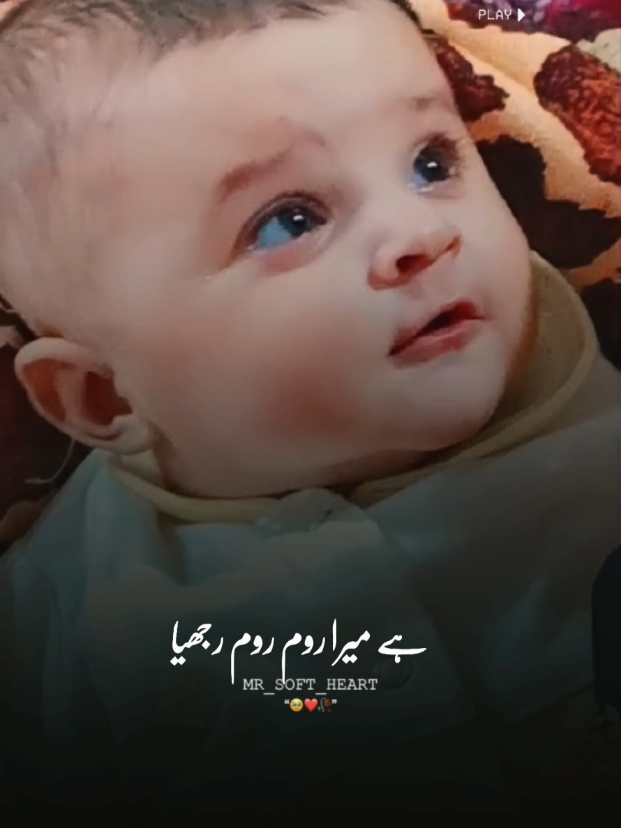 @Shani Rana