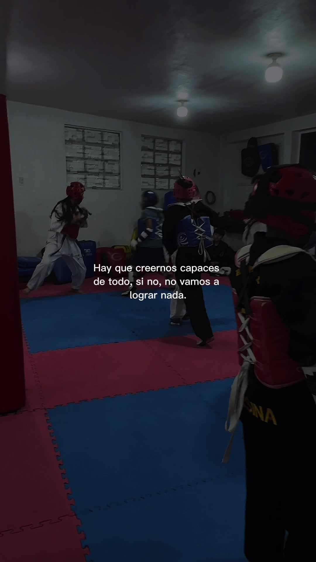 @taekwondolionsteam