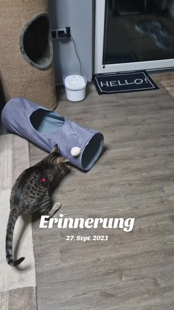 @Karin-Catmama80