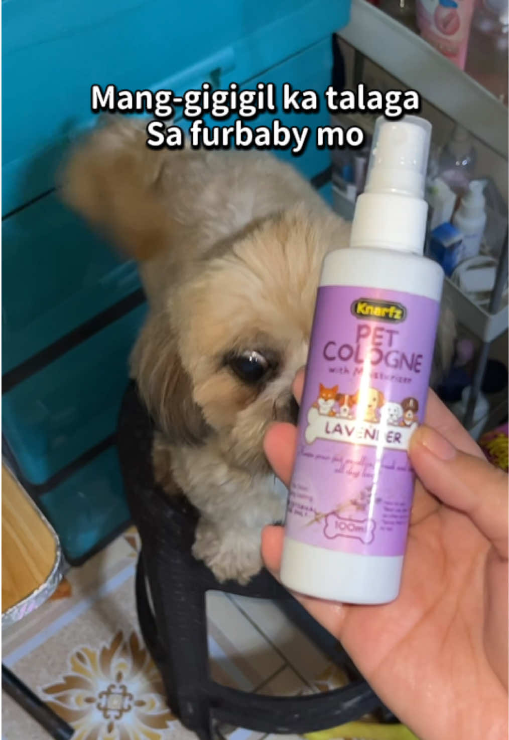 @SUNSHINE