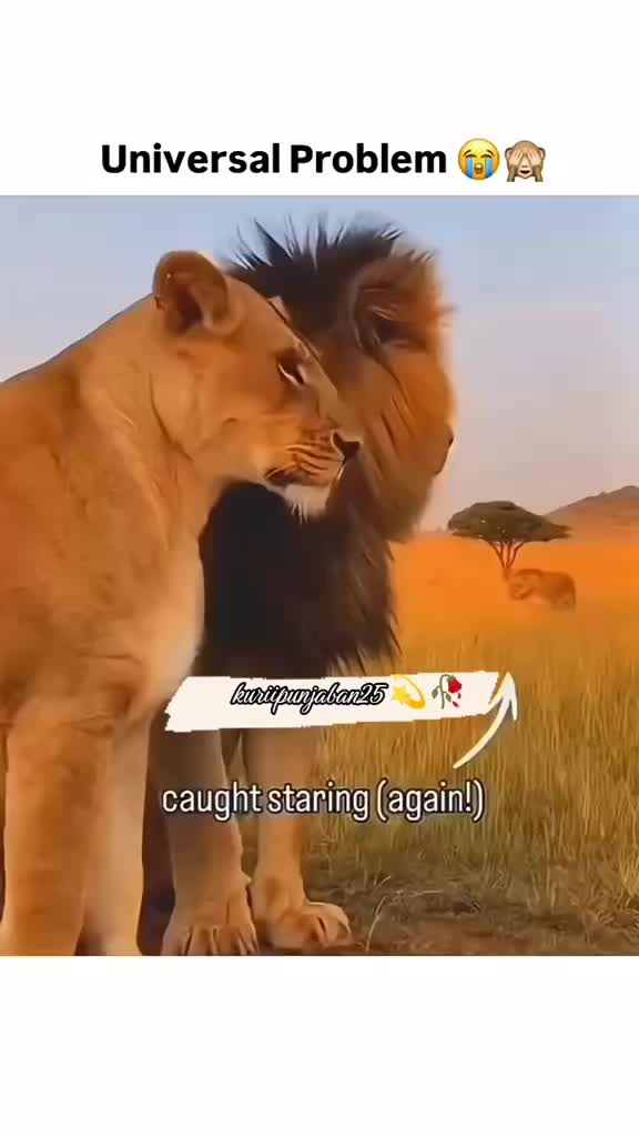 @Abiha khan