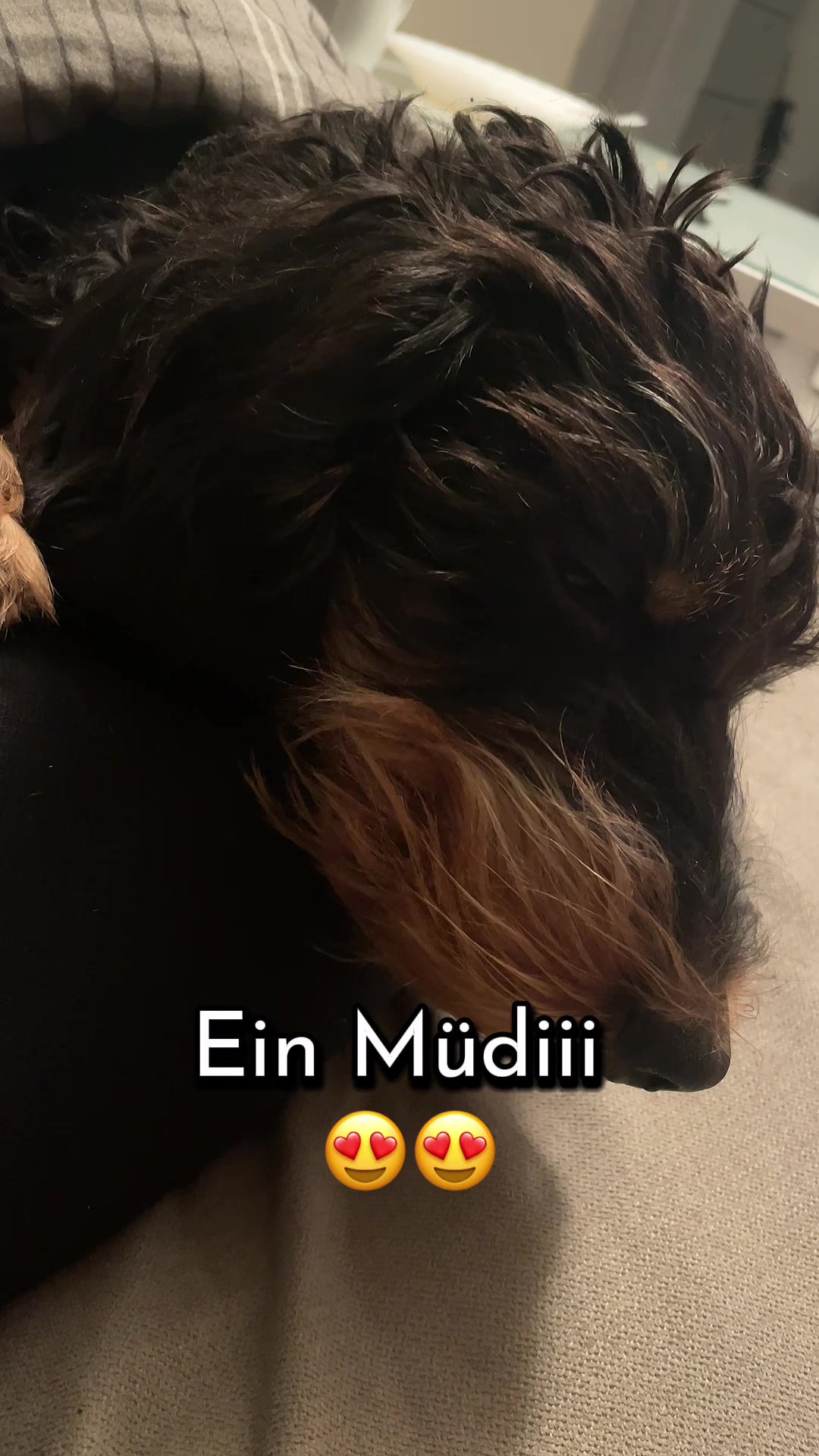 @moin_marcel