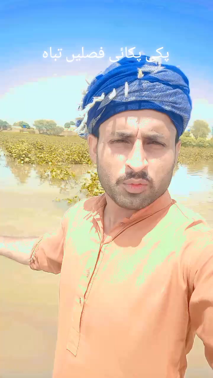@Muhammad Sajid