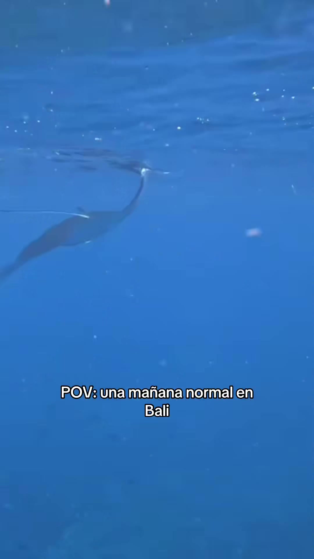 @Trillo