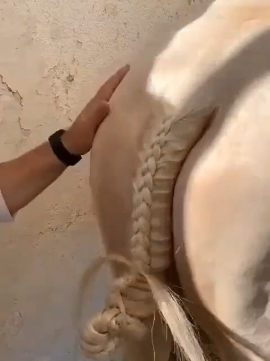 @FRAN