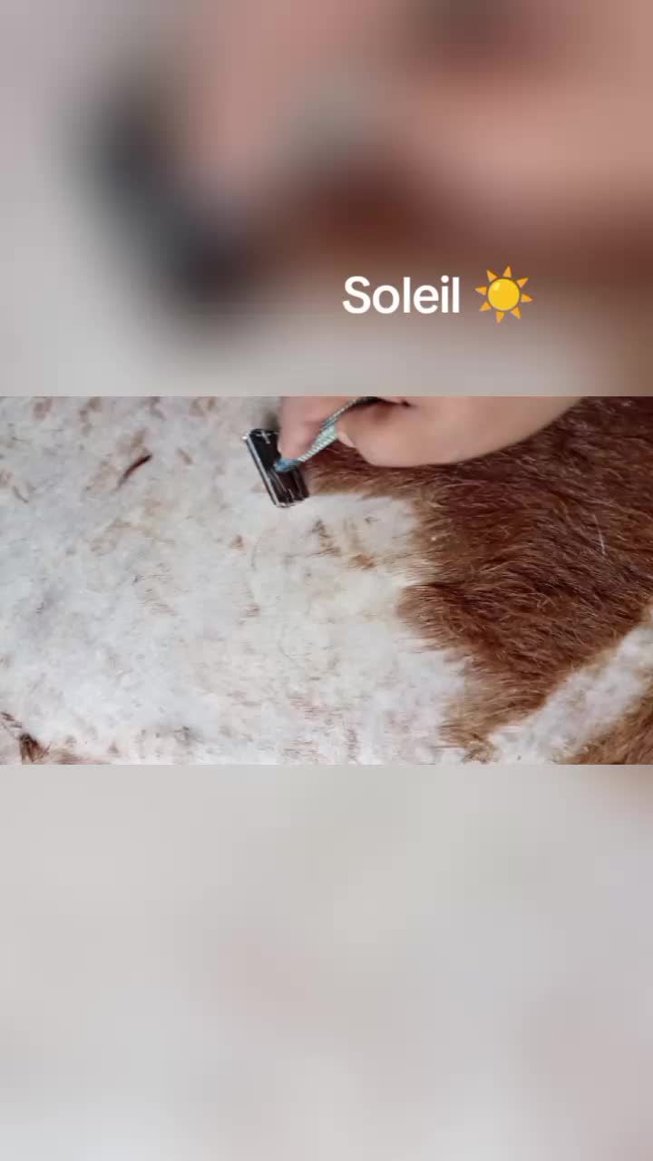 @🥥🕉स्टेफ़ान सिनापौले🕉🥥