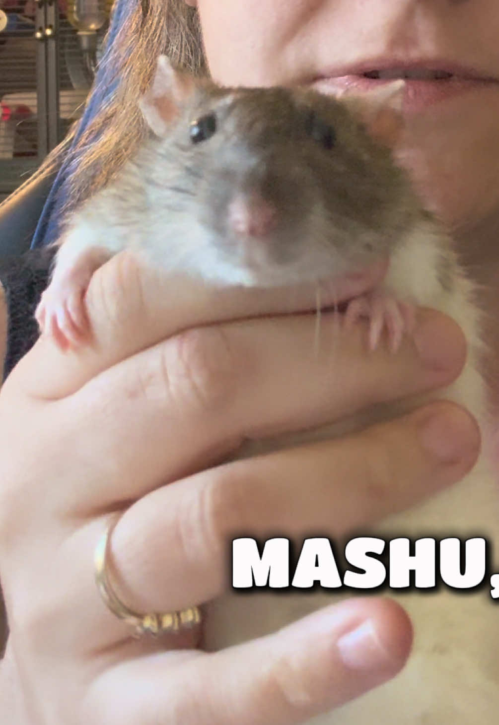 @Liloobi's Mischief