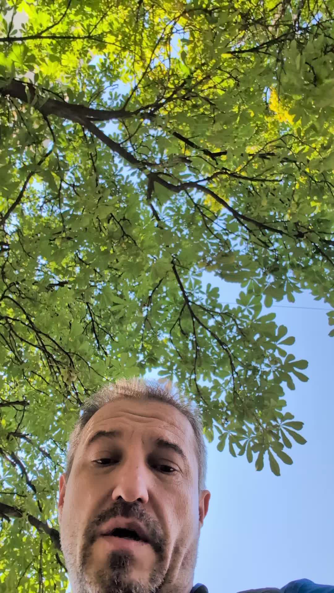 @MisterFaith