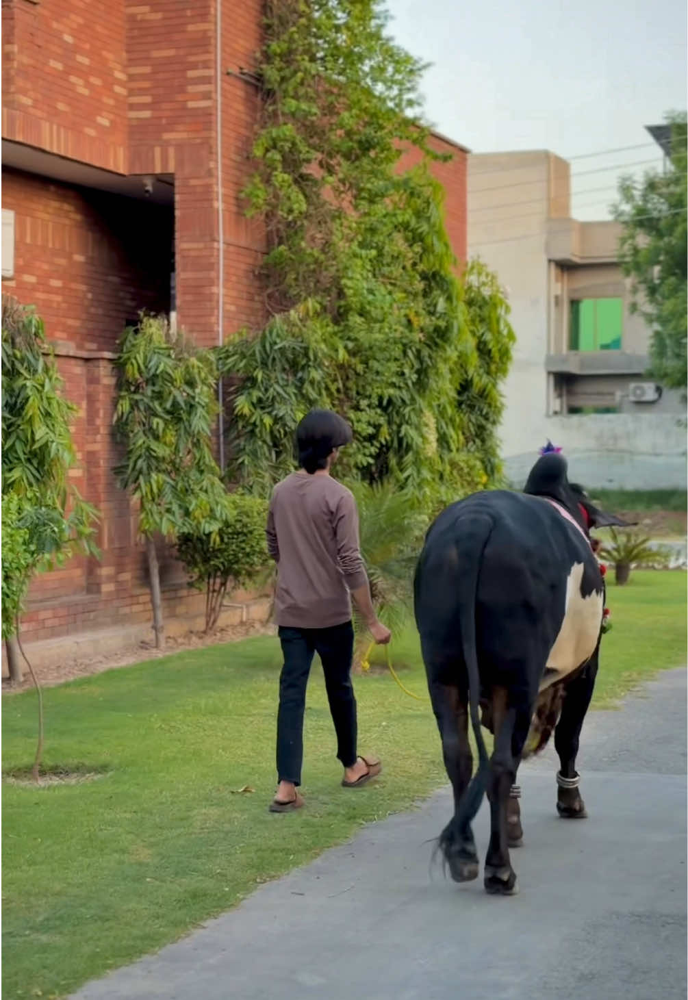 @𝓐𝓡𝓢 🚩