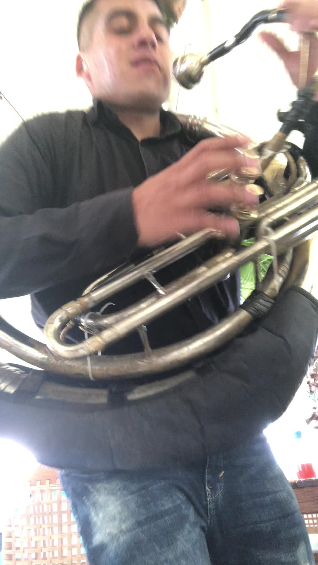 @Maestro_Tuba1