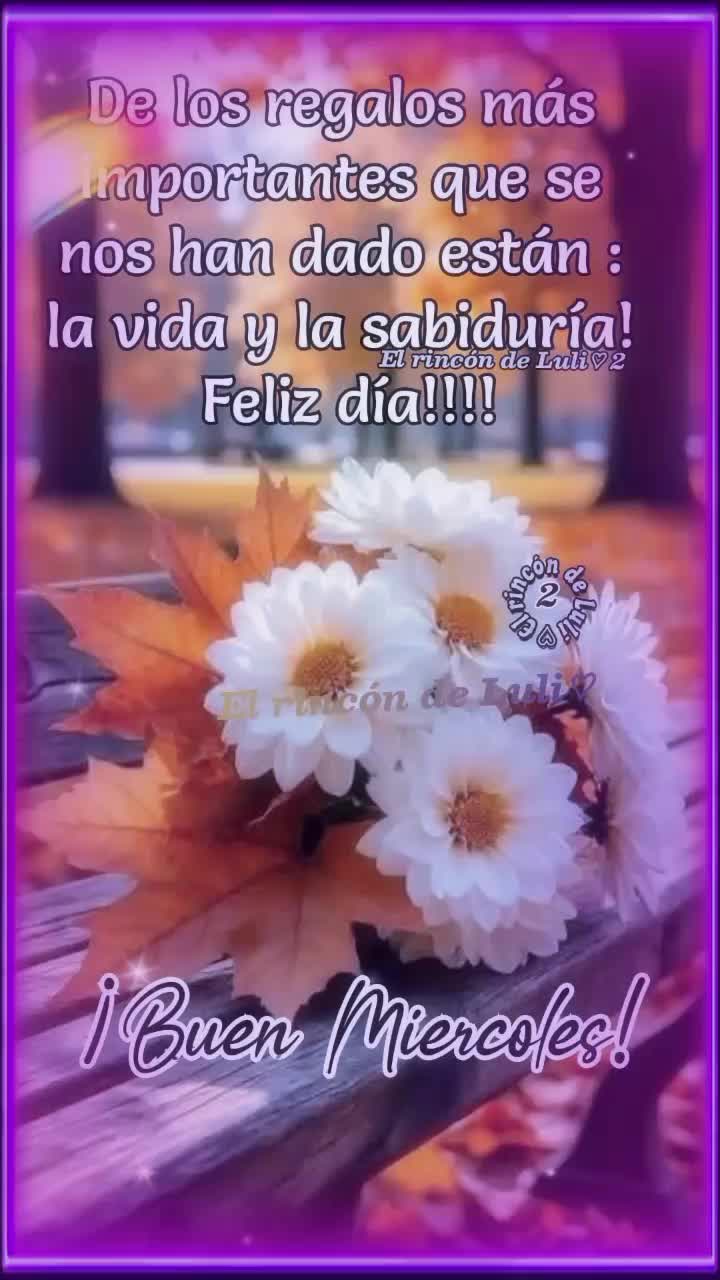 @Anai