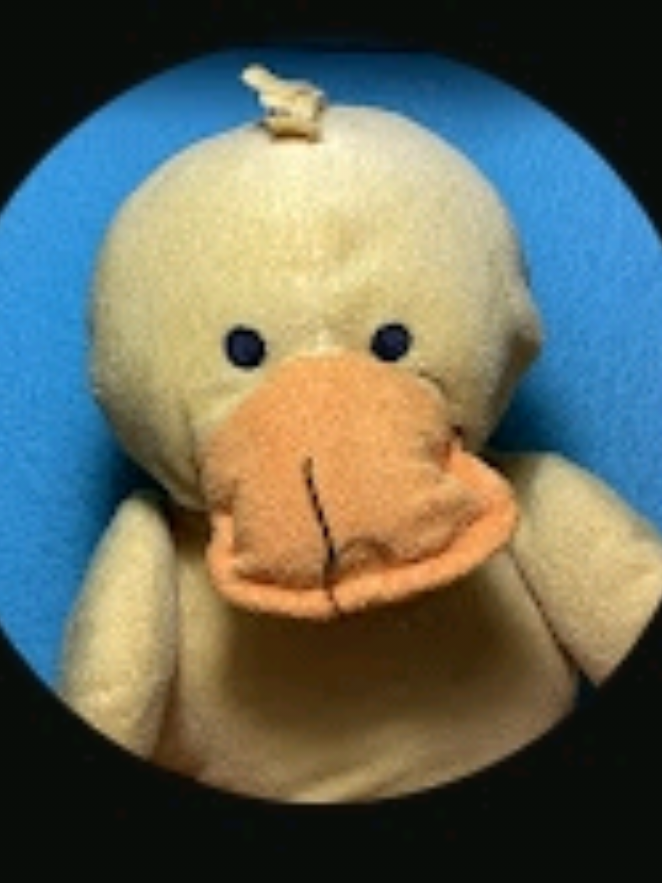 @Pato3xdEmmy_ofishial