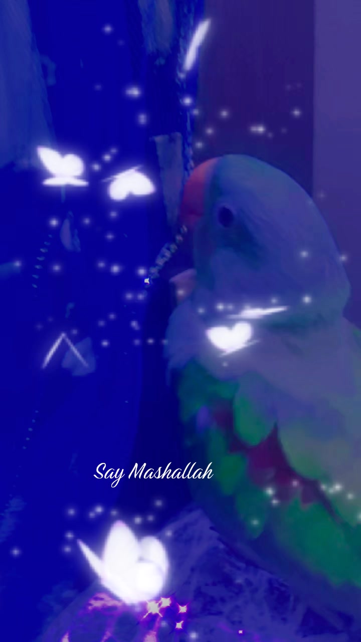 @هانئ Haānī