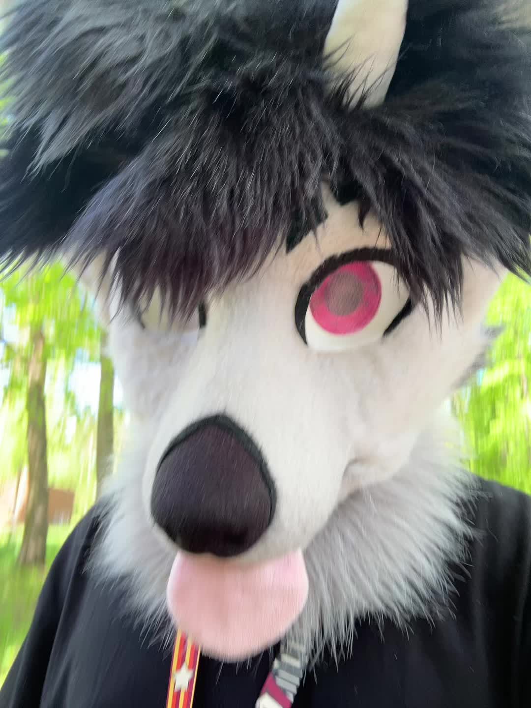 @фыркалко 🐾