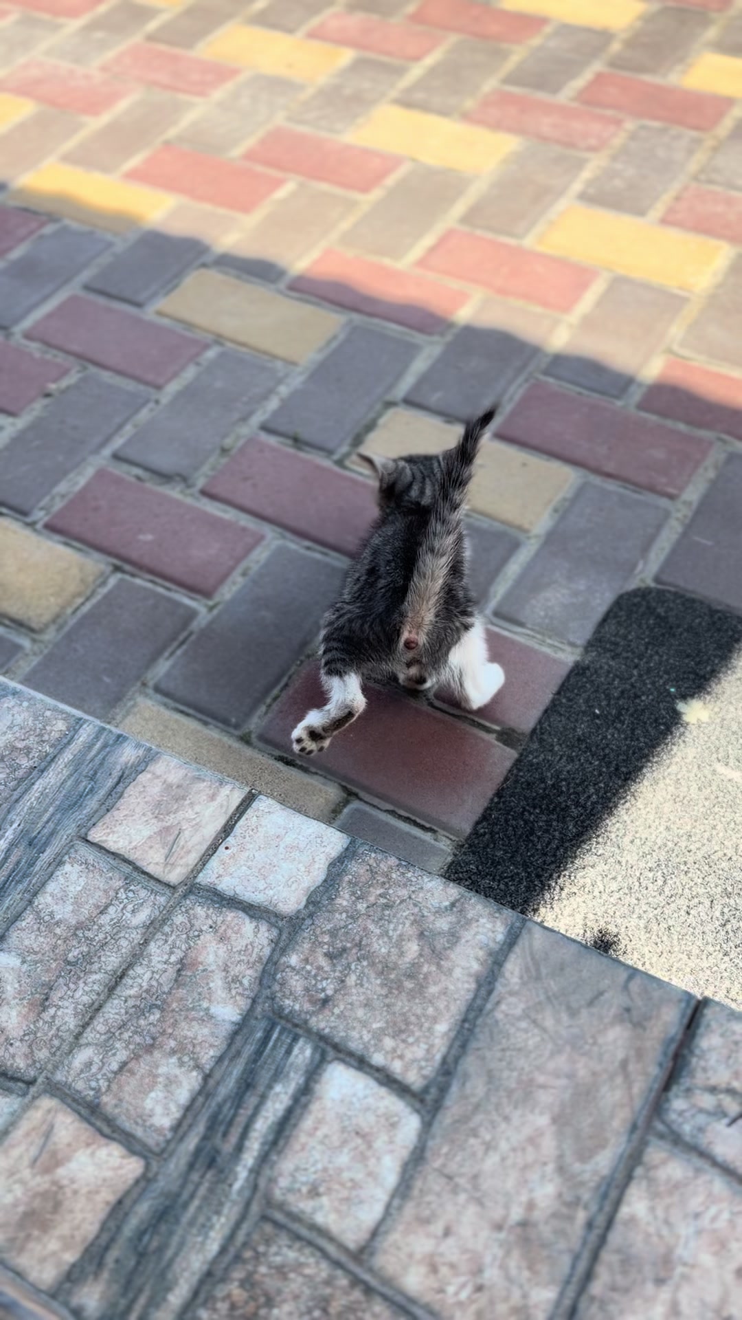 @Вудяшки❤️