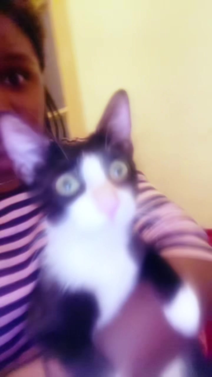 @sandrinedenemaji