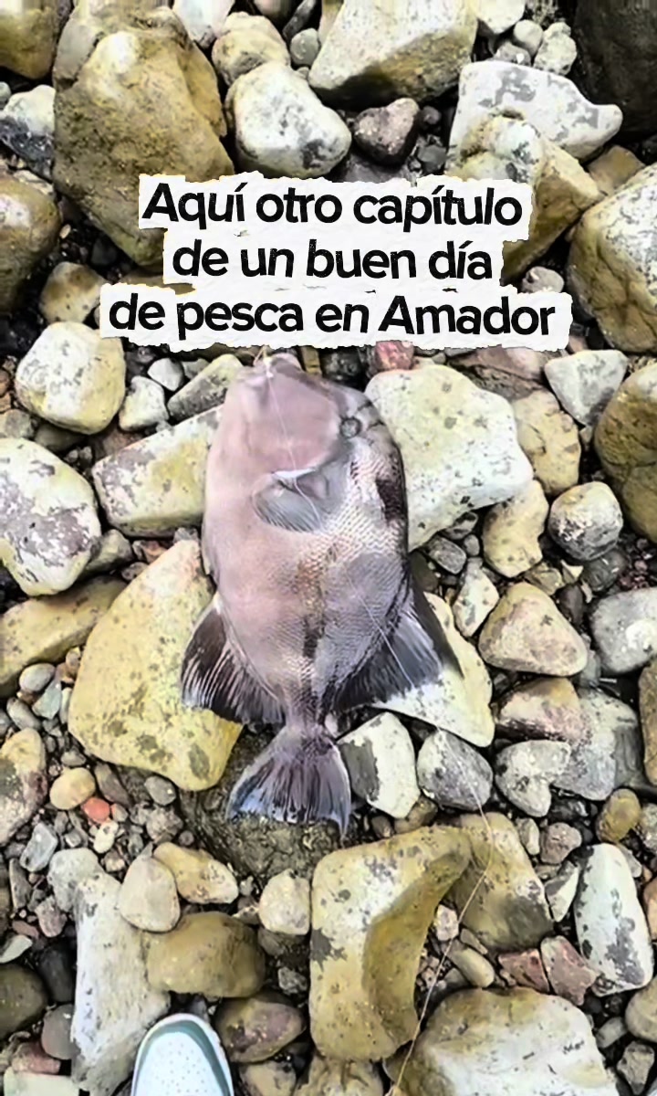 @VALEN 🖤