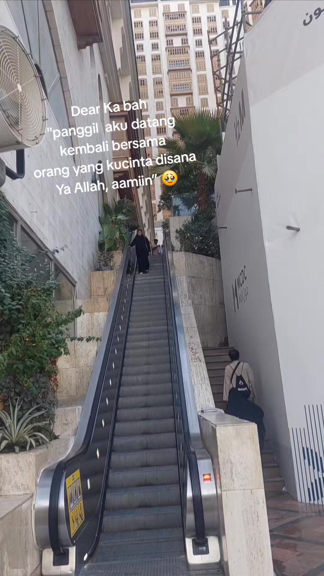 @DN💫