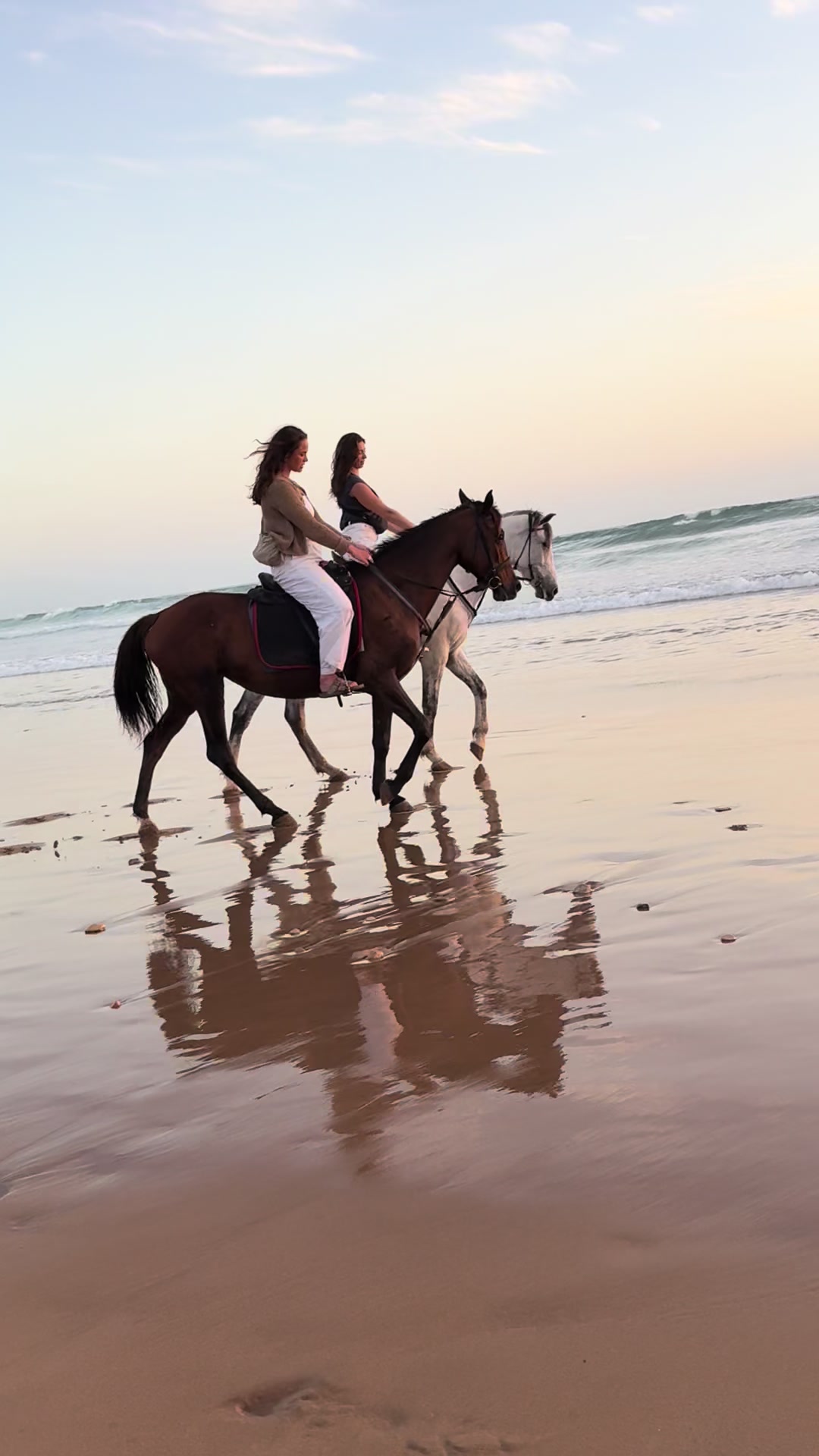 @Cheval_agadir