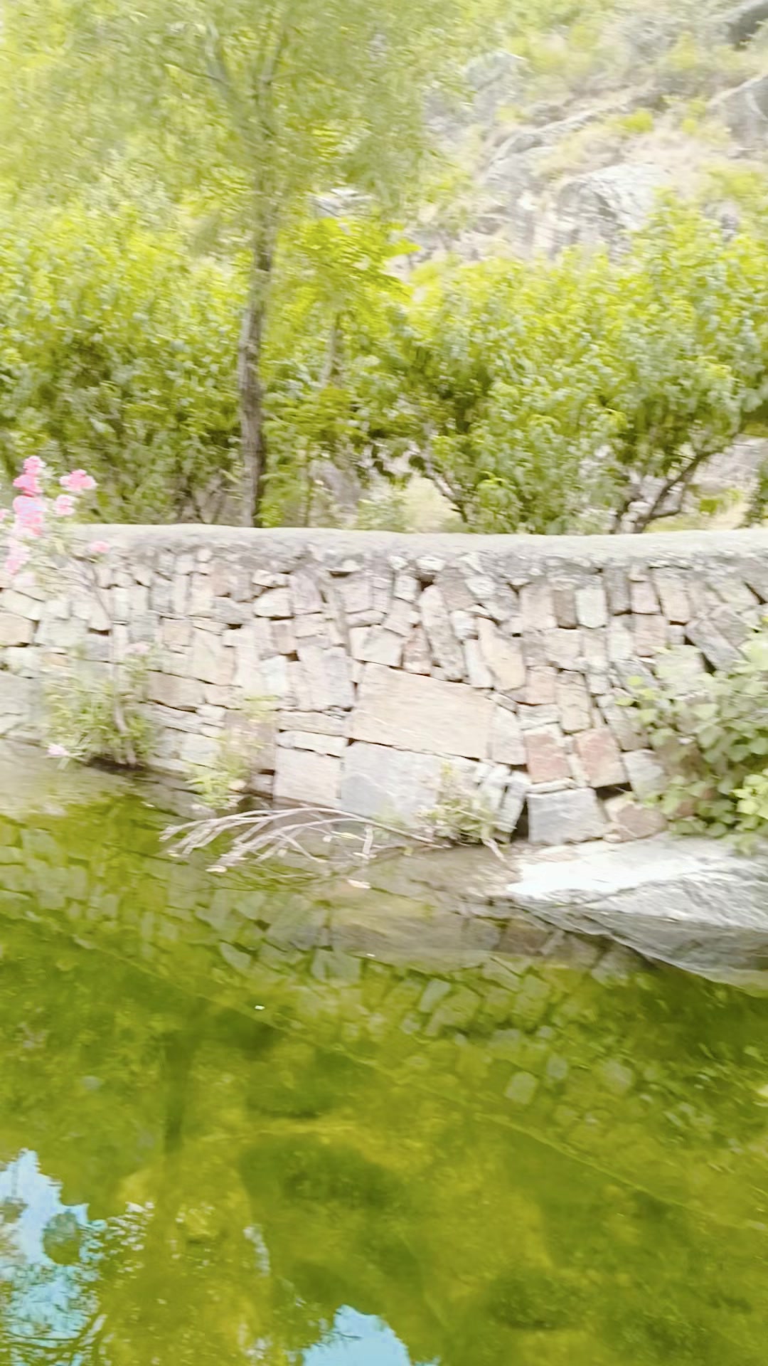 @𝐈 𝐌  𝐀 𝐃 ☠ 𝐊 𝐇 𝐀 𝐍