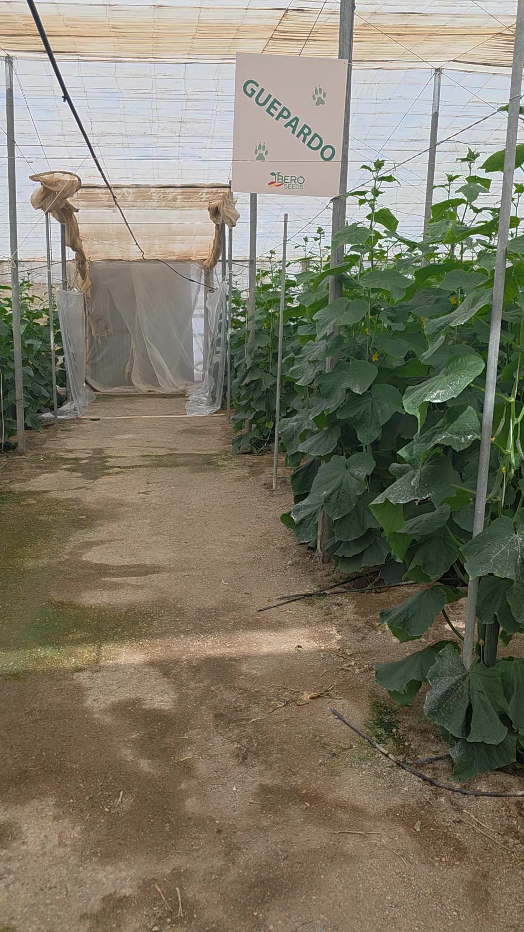@El Extensionista del Agro