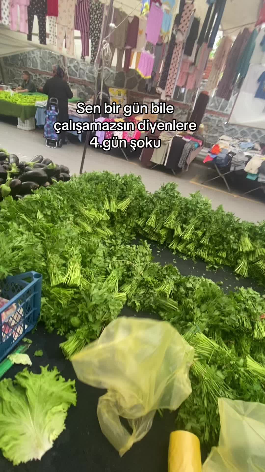 @Hayal