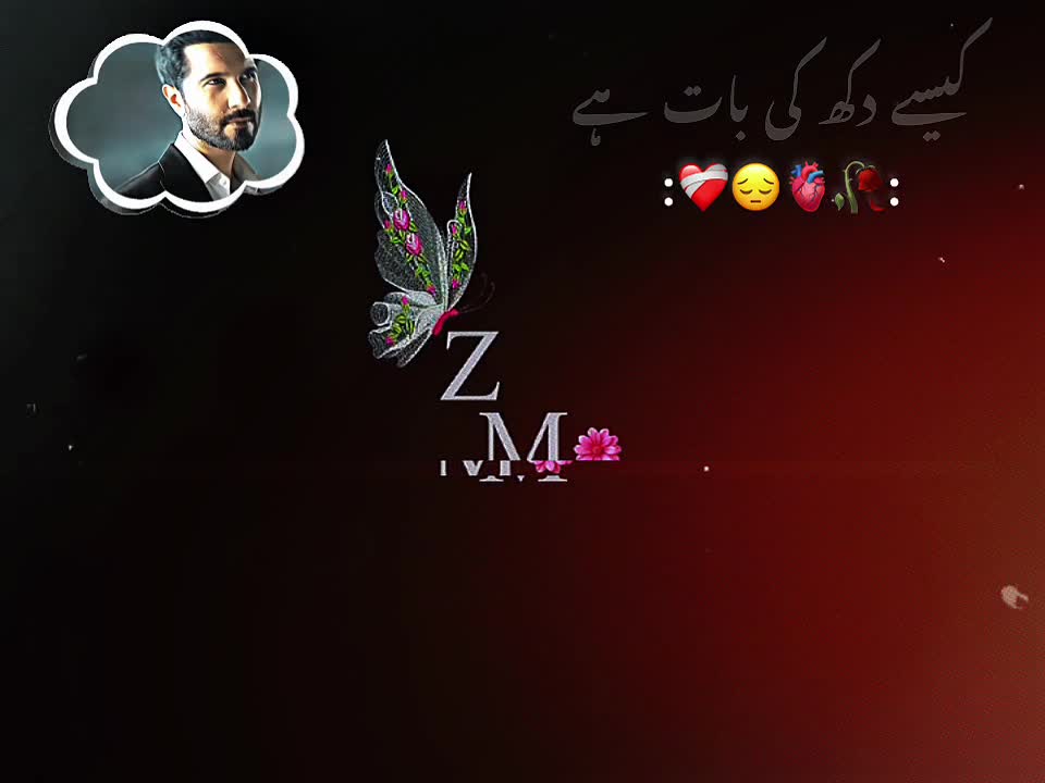 @M Z lover