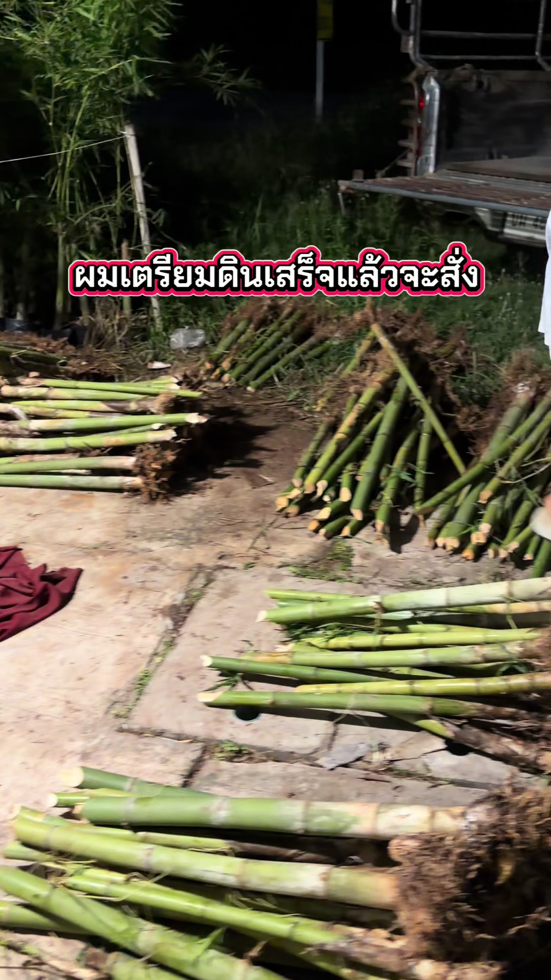 @นัดดาชอป