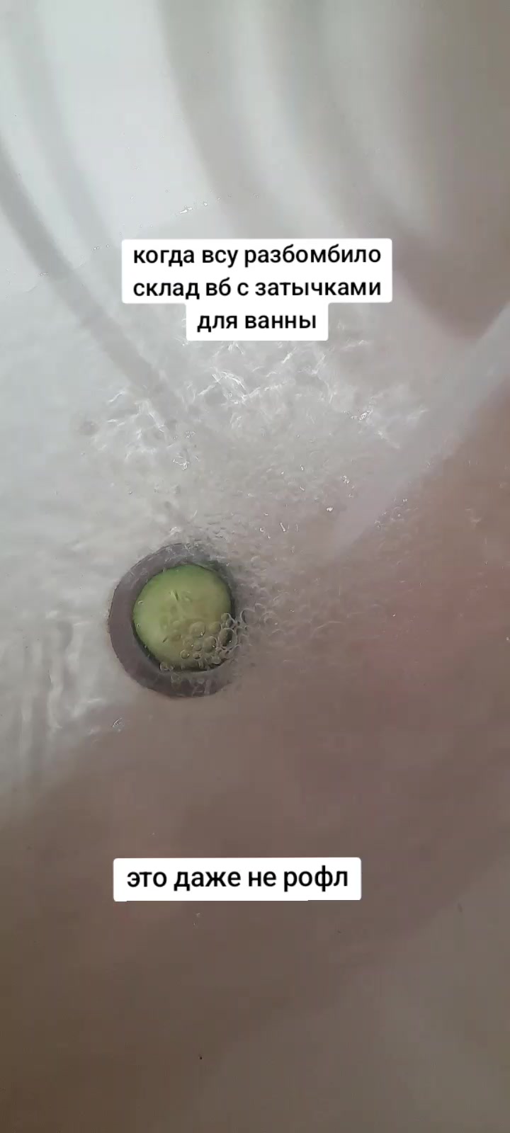 @Golovach_04_C_Layna