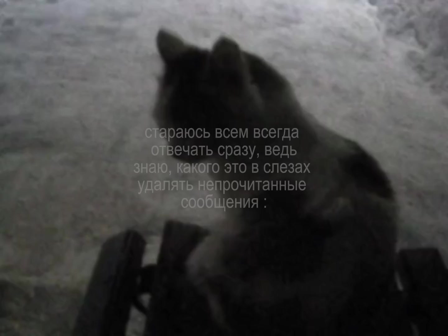 @𝘼𝙍𝙏𝙄𝙎