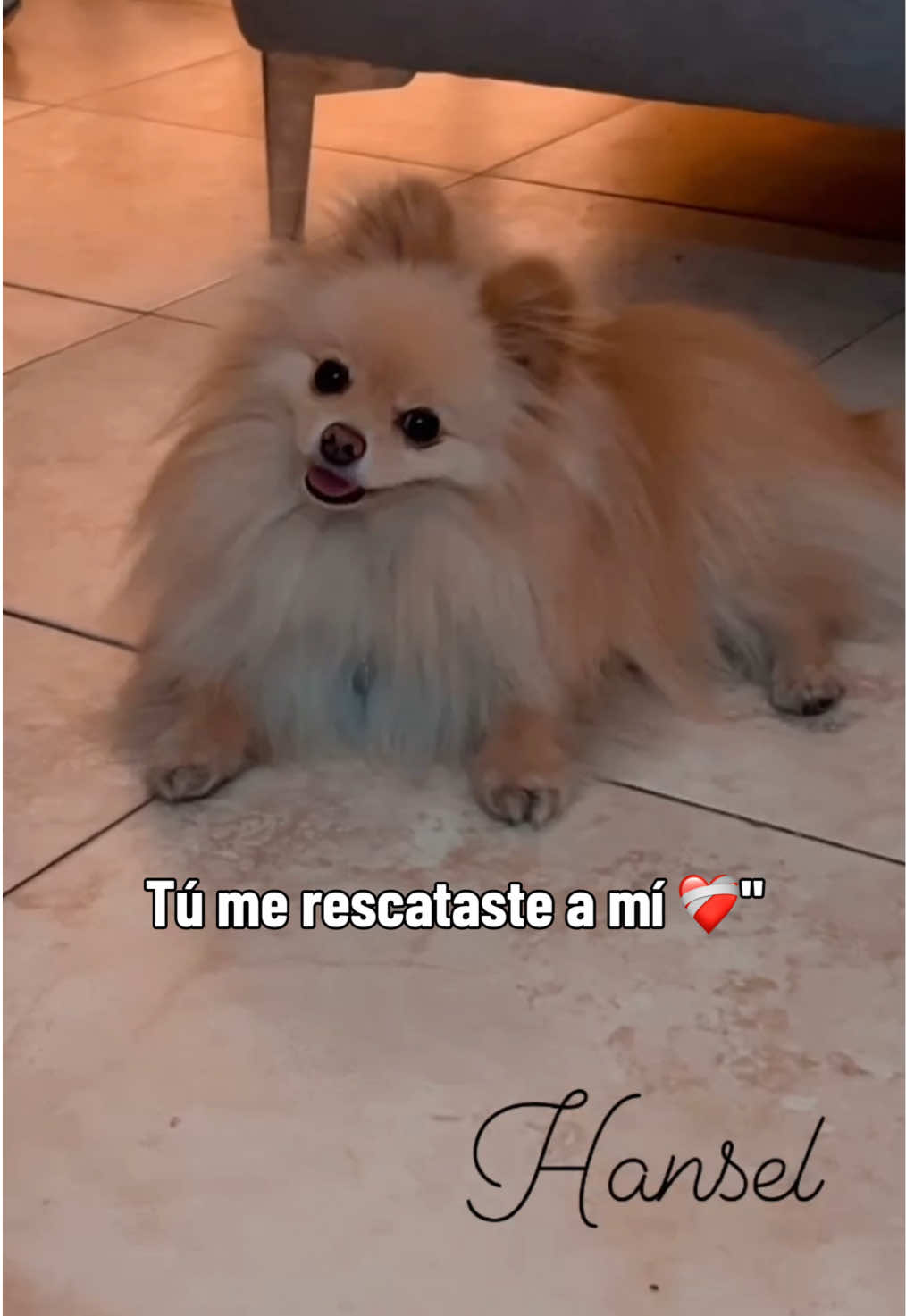 @Juan Pablo Albisua