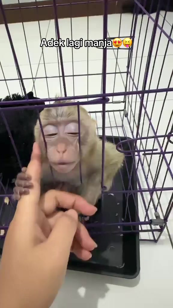 @Michelle🐒