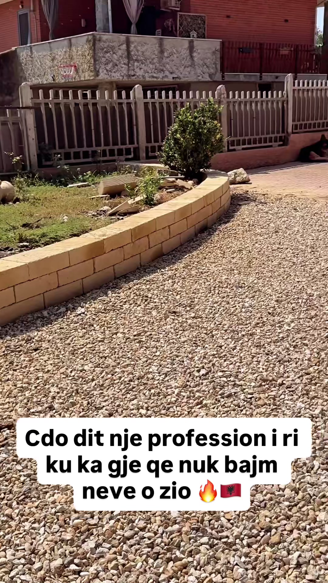 @Festat shqiptare PiemonteLandi