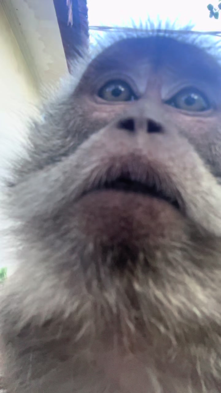 @Nyunyut