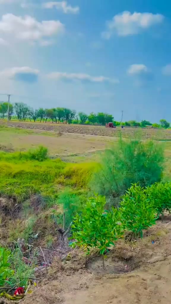 @Sajawal Khan